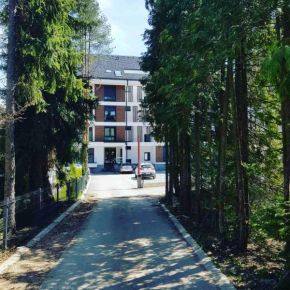 Fenix, Zlatibor